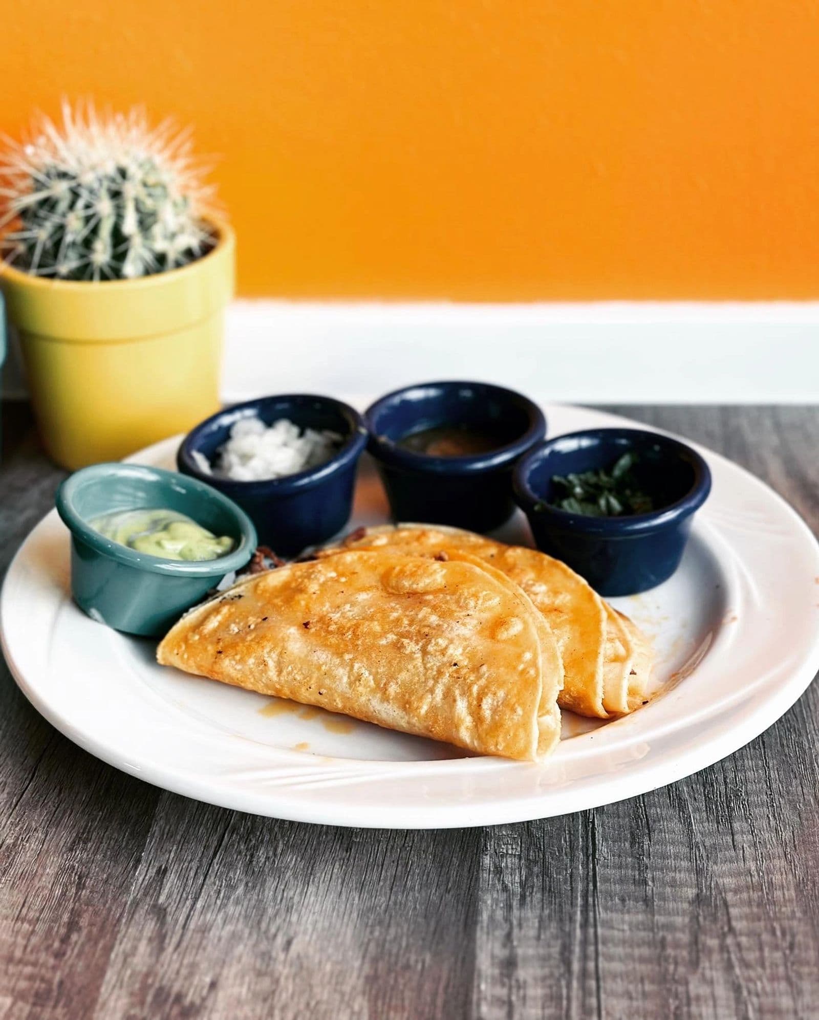 Enchiladas Verdes